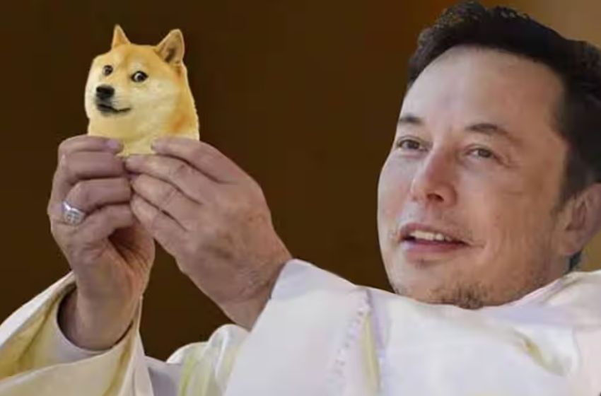  Elon Musk Says Dogecoin Owners Should Stay Away From Trading In The Middle.