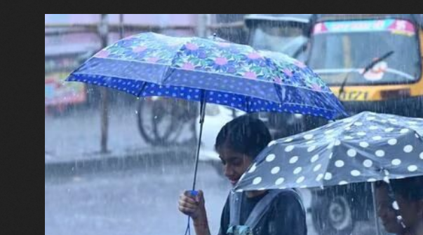 IMD Issues Heavy Rain and Hailstorm Alerts: Check Your State's Conditions