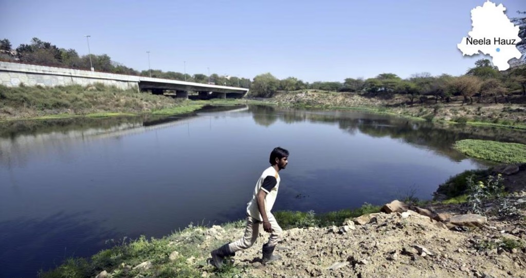 Half of Delhi's Water Bodies Exist Only on Paper, Reveals Revenue Dept Survey