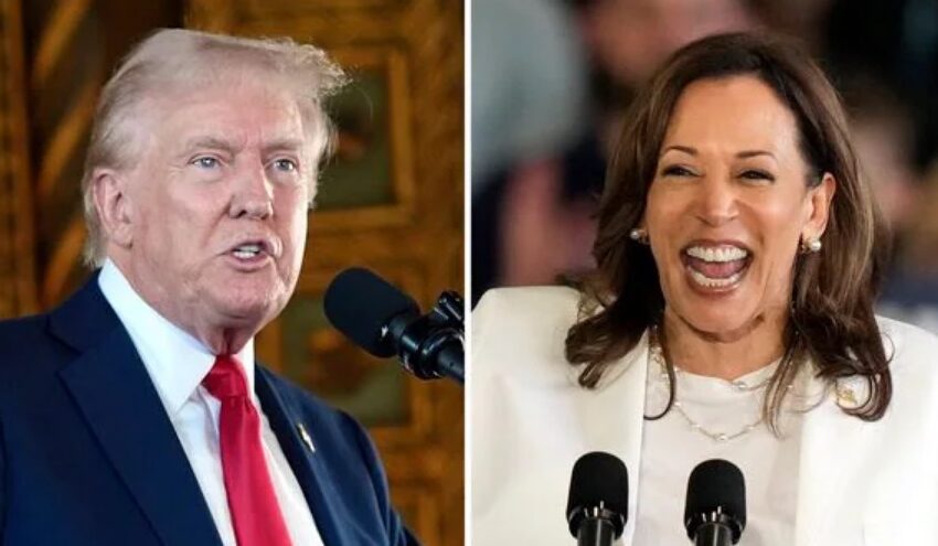  US Presidential Elections 2024: Kamala Harris Edges Ahead of Donald Trump in Swing States, Poll Data Reveals