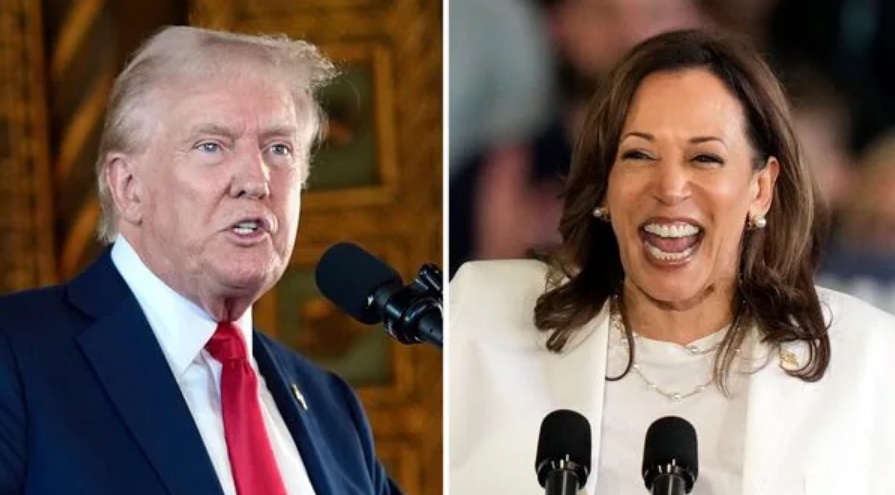 Kamala Harris Edges Ahead of Donald Trump in Swing States, Poll Data Reveals