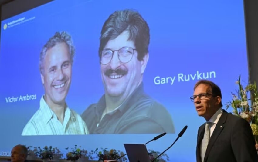  2024 Nobel Prize in Medicine Awarded to Victor Ambros and Gary Ruvkun for MicroRNA Discovery