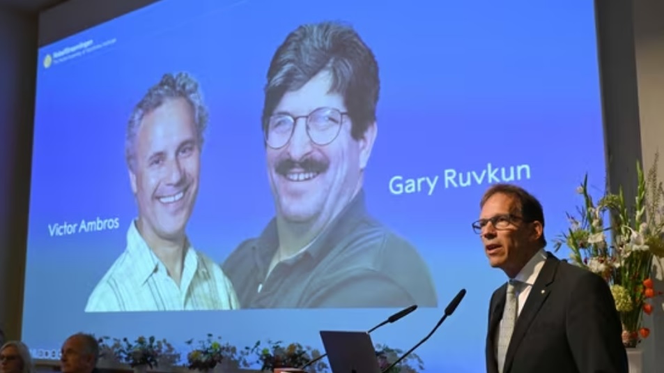 2024 Nobel Prize in Medicine Awarded to Victor Ambros and Gary Ruvkun for MicroRNA Discovery