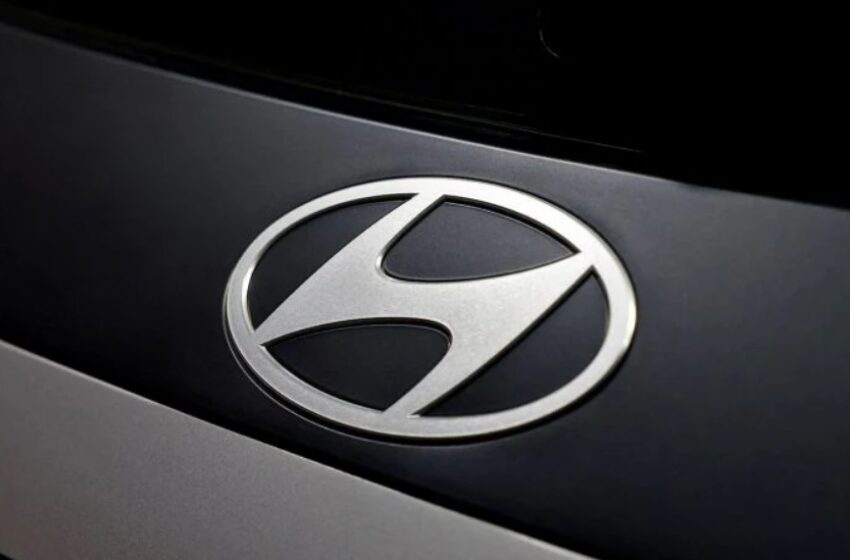  Thinking of Investing in Hyundai Motor India IPO? Key Risks to Consider First