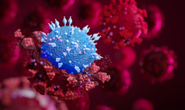 SARS-CoV-2 Protein Spreads Between Cells, Causing Immune System to Target Healthy Tissue
