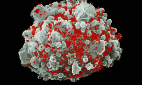 Scientists Explore mRNA Technology to Wake Dormant HIV Cells and Advance Treatment Strategies