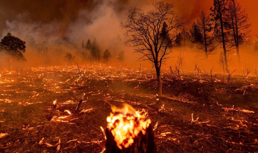 Designing Cities for a Fiery Future: It’s Time to Build for Wildfires Too