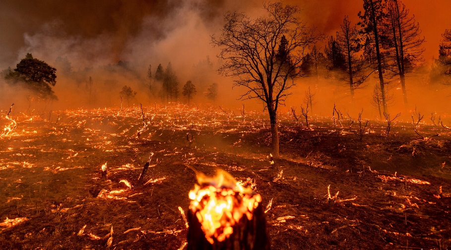 Designing Cities for a Fiery Future: It's Time to Build for Wildfires Too